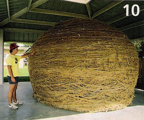 Ball of Twine