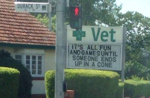 Funny Signs