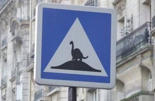 Funny Signs