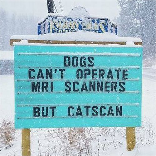 Punny Signs