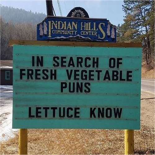 Punny Signs